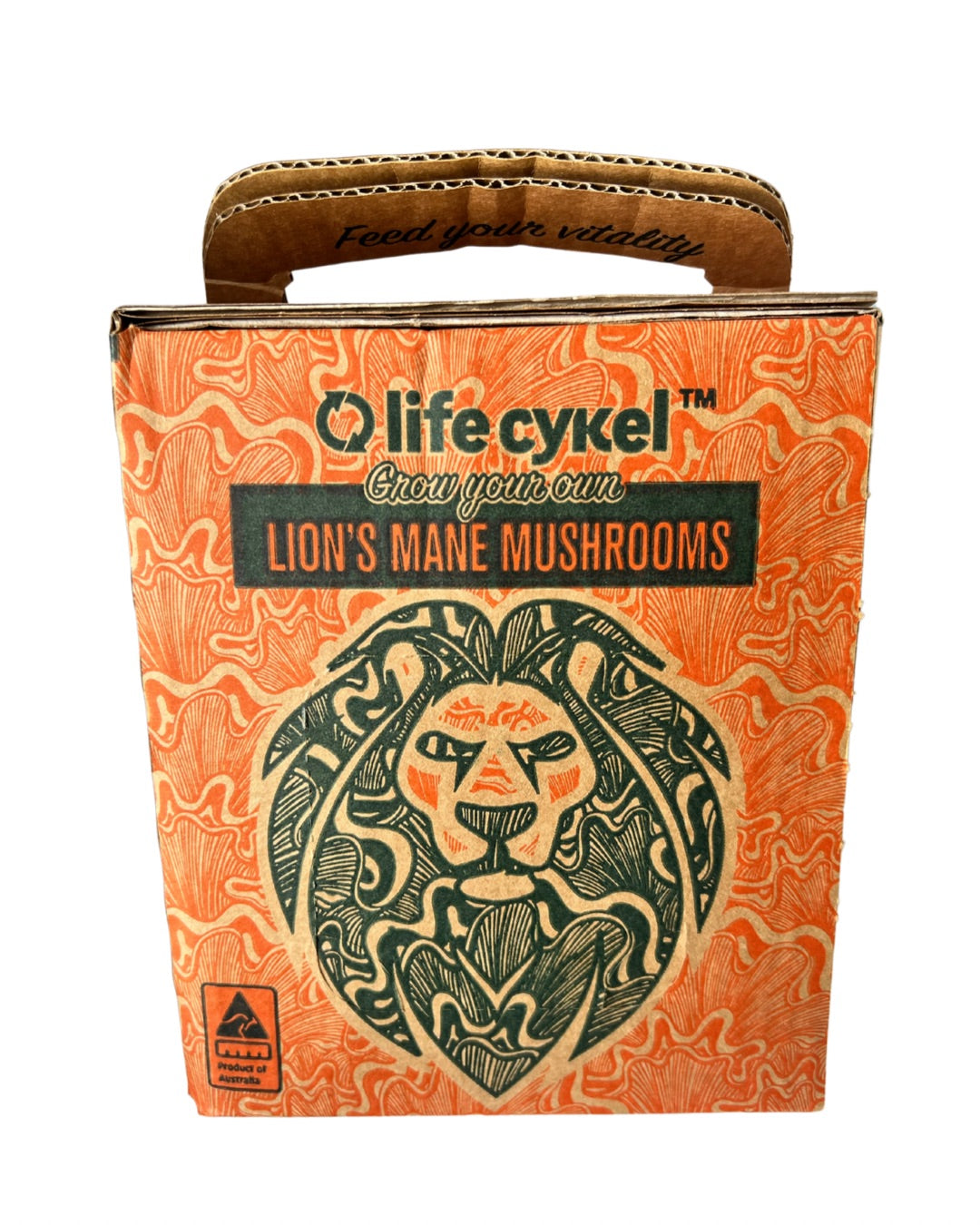 Life Cykle - Lion's Mane Mushroom Grow Kit