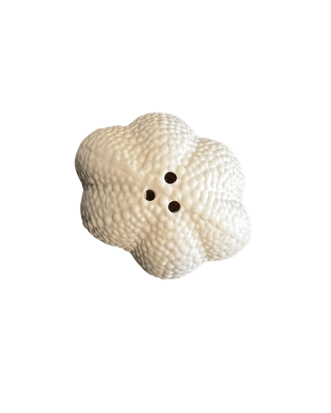 Sea Urchin Shaker