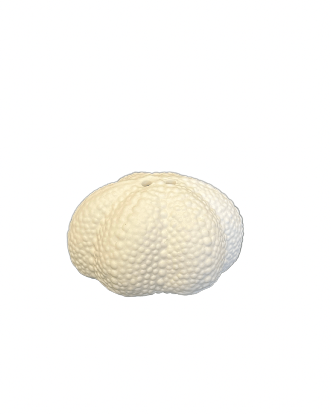 Sea Urchin Shaker